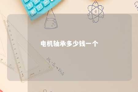 电机轴承多少钱一个 